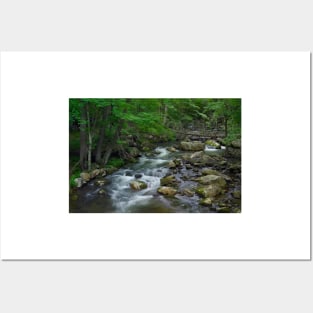 Little Stony Creek Flowing Through Jefferson National Forest Posters and Art